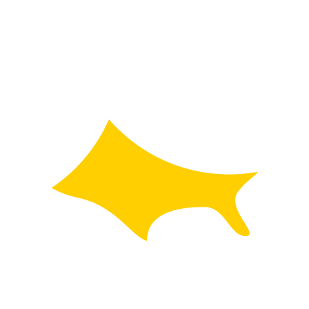 A map of the United States with the southern region highlighted