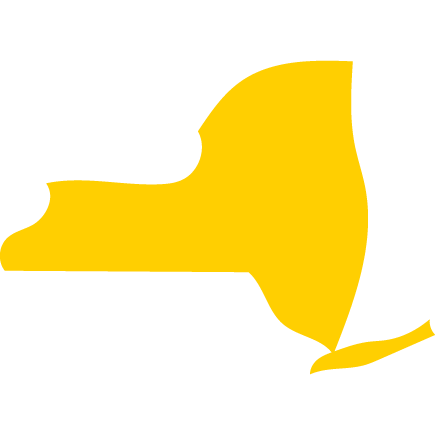 A digital illustration of the state of New York
