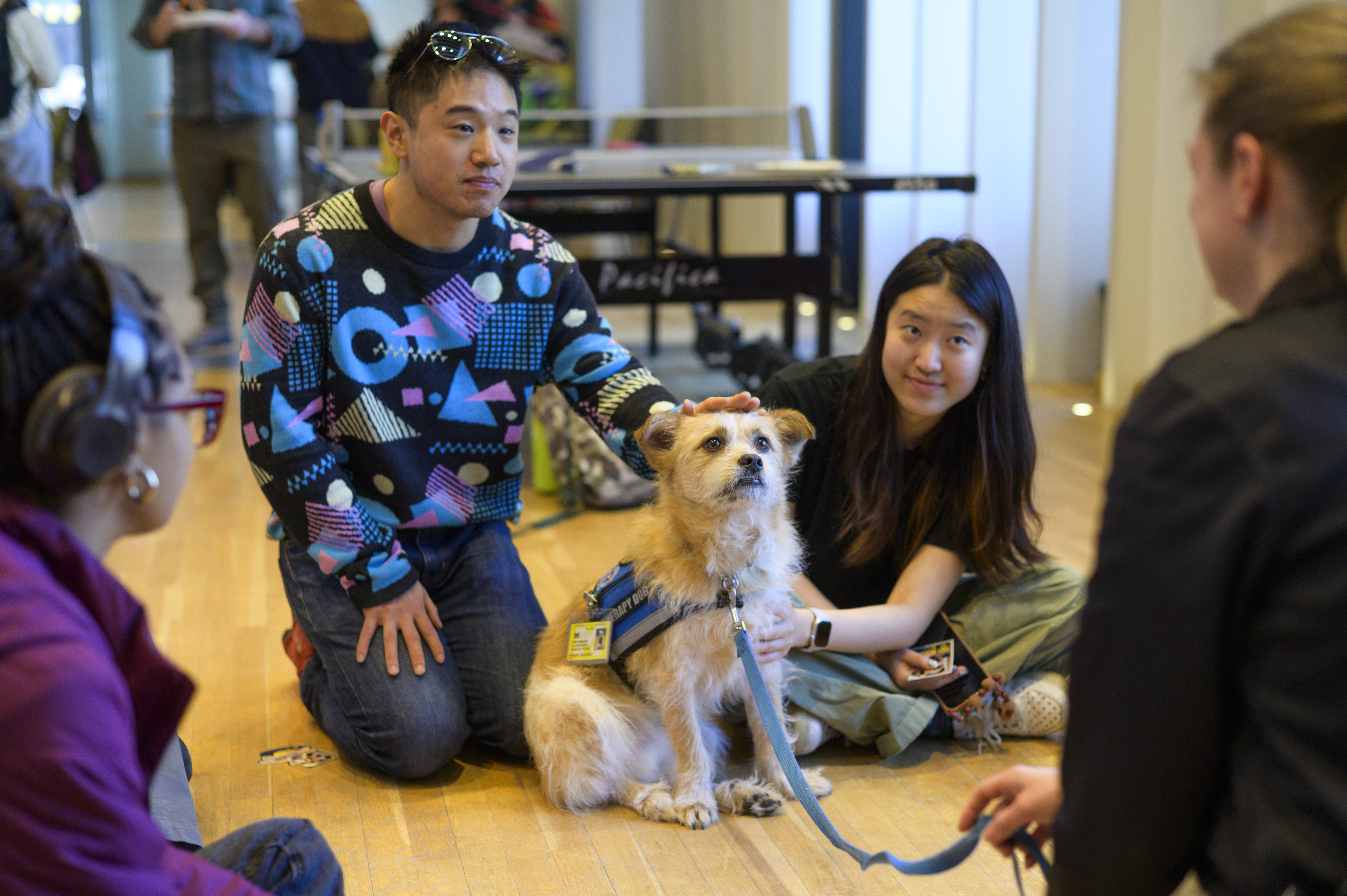 Students sitting on the floor and petting a therapy dog.