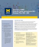 UMSI DEI strategic plan summary