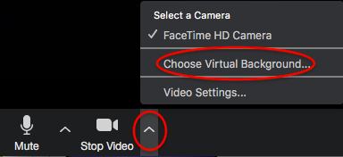 Click next to "Stop Video," then select "Choose Virtual Background"