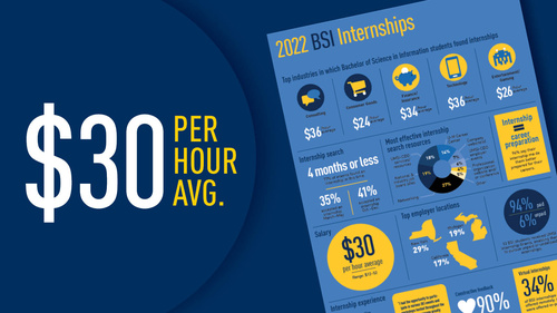 "$30 per hour average." The first page of the 2022 BSI internship report.