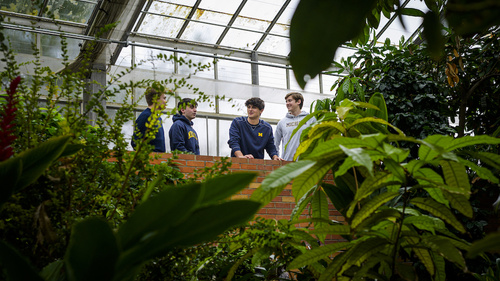 Four students wearing blue sweatshirts stand in the indoor conservatory at Matthaei Botanical Gardens, surrounded by greenery.