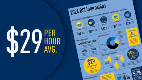 The title page of the 2024 BSI Internship Report. $29 per hour avg.