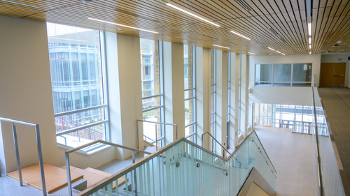 A view looking down a staircase with a frosted glass rail, which runs along tall windows. The building is filled with natural light, and the carpeted upper floor can be glimpsed on the right side. There is a modern, light wood ceiling 