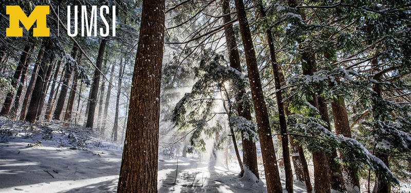 The Arb covered in snow