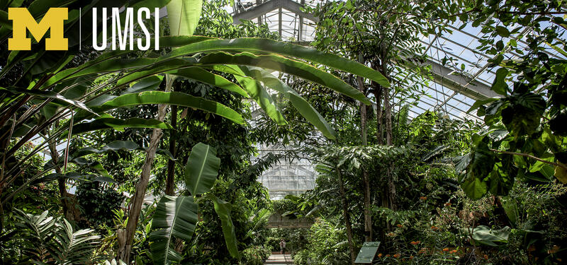 Matthaei Botanical Gardens