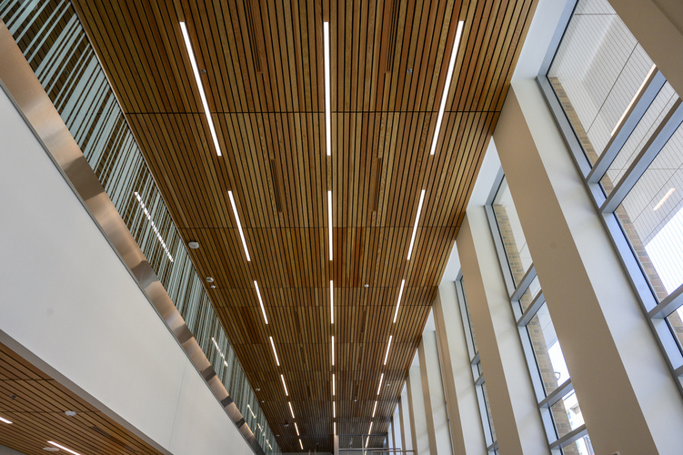 A view upward at the high ceiling over the Leinweber lobby, made from slatted wood with modern lighting accents, with an upper rail visible on the left and tall windows on the right