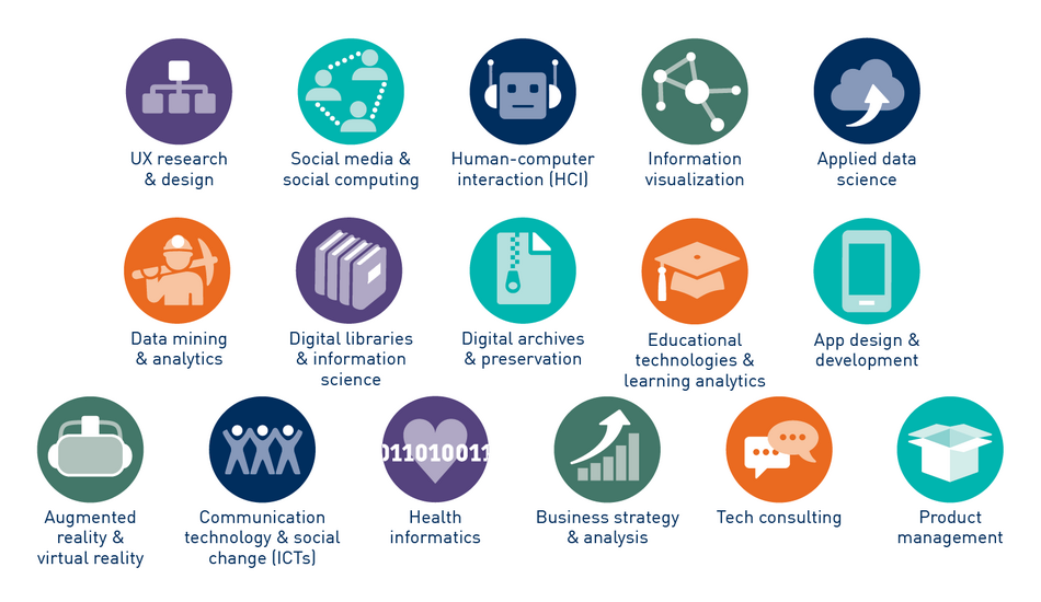Areas of UMSI graduates’ expertise