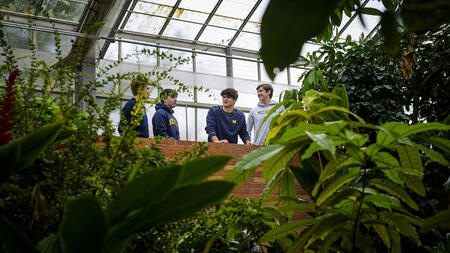 Four students wearing blue sweatshirts stand in the indoor conservatory at Matthaei Botanical Gardens, surrounded by greenery.