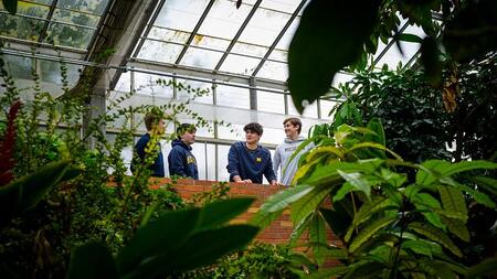 Four students in University of Michigan gear stand on the second floor of a green house looking down on the trees