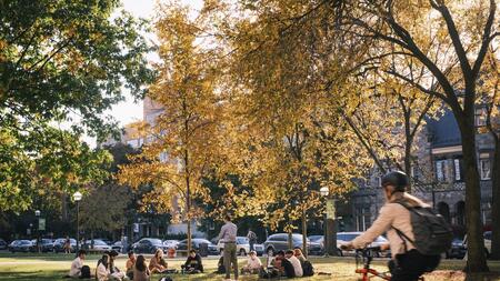 Students sitting on the grass under a tree with yellow leaves. A biker is going past.