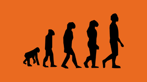 Graphic shows evolutionary steps of mankind from primate to modern man