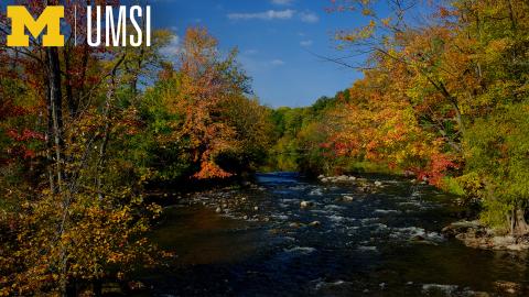 Zoom background featuring scene of Delhi Rapids surrounded by fall foliage, with Block M and UMSI in upper left corner. 