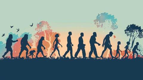 Landscape photo of human evolution timeline. 