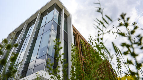 A corner window of the Leinweber building, seen from below.