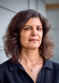 Photo of Prof. Tina Eliassi-Rad, a person with shoulder length dark hair, wearing a gold necklace and dark collared shirt. 