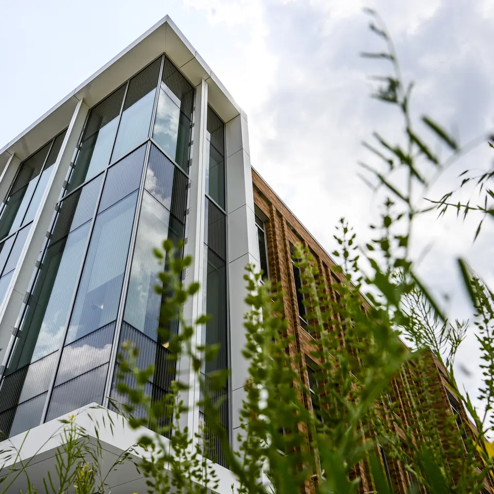 A corner window of the Leinweber building, seen from below.